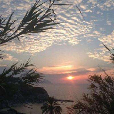 山海战记下载