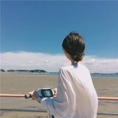 龙谷2破解版下载