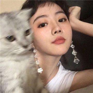 代号bee测试服客户端下载